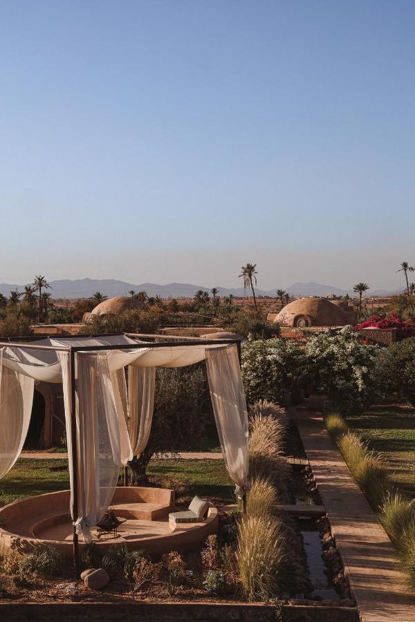 Bliss Terra Janna - 3