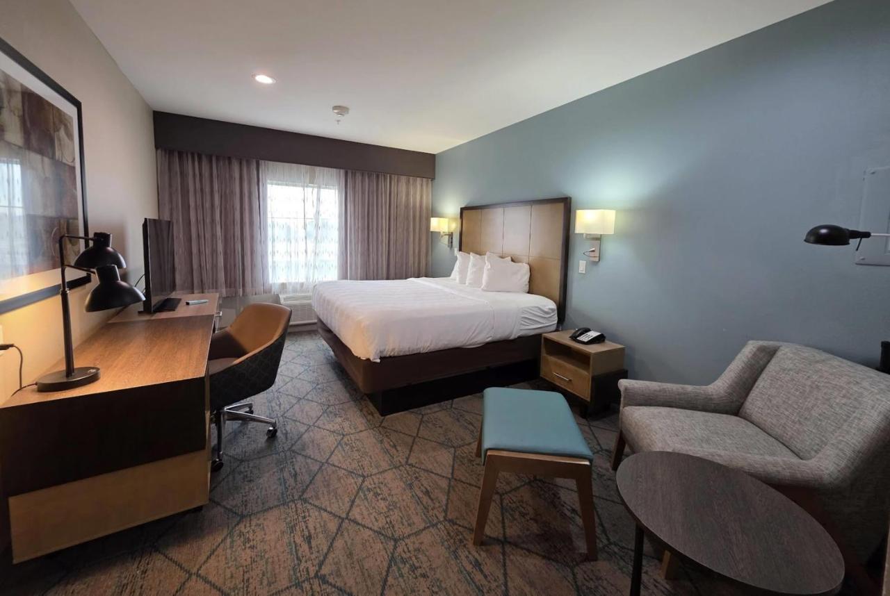 McKinzie Hotel & Suites — photo 5