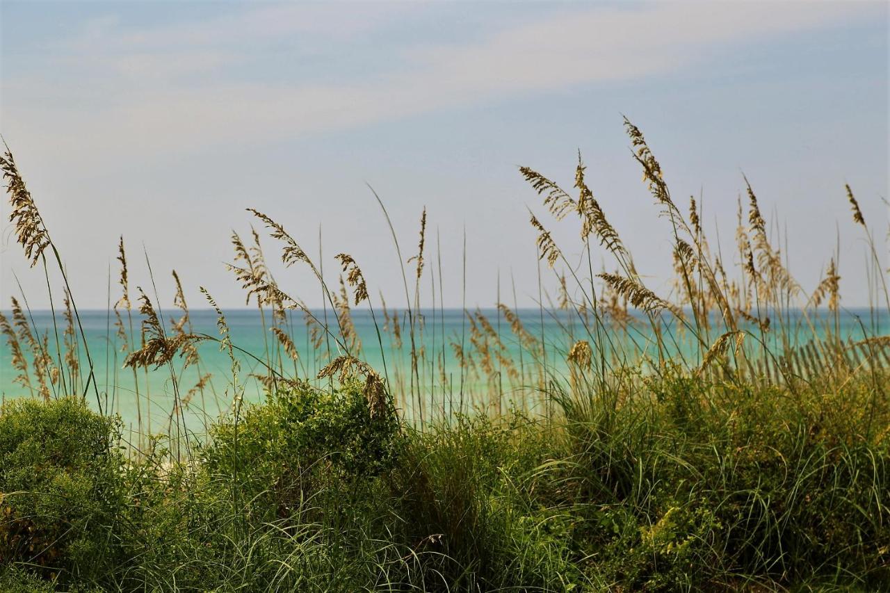 Henderson Beach Resort — photo 19