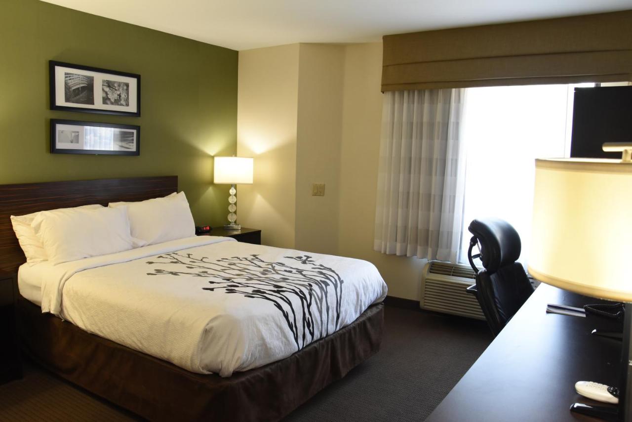 Sky Harbor Airport Inn — photo 6