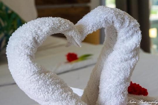 La Belle Rodriguaise - 3