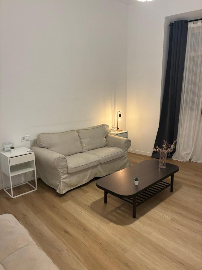 Gran apartamento Larios - 5