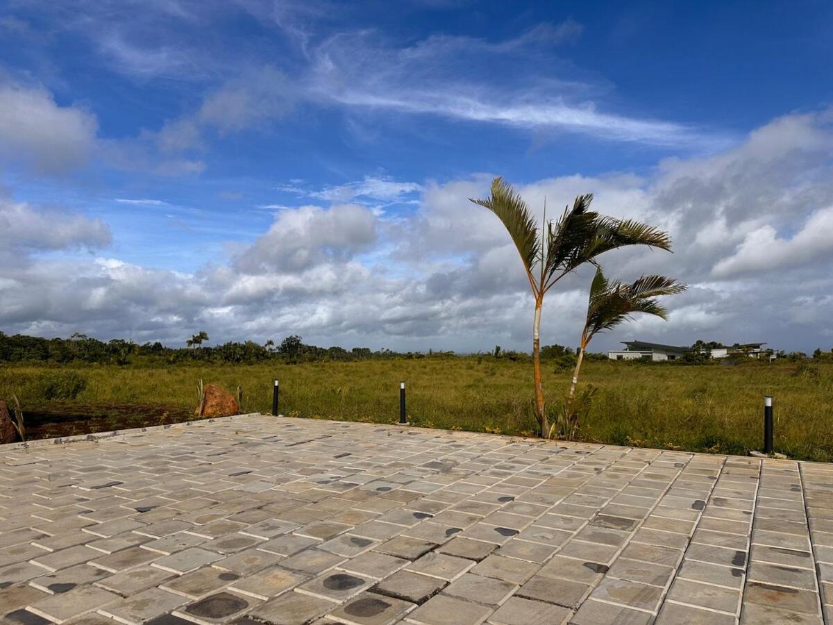 Green Heaven Studio - 4