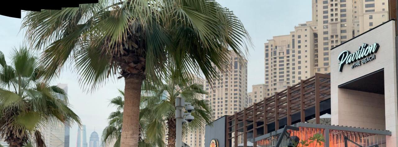 palm tree Jbr - 5
