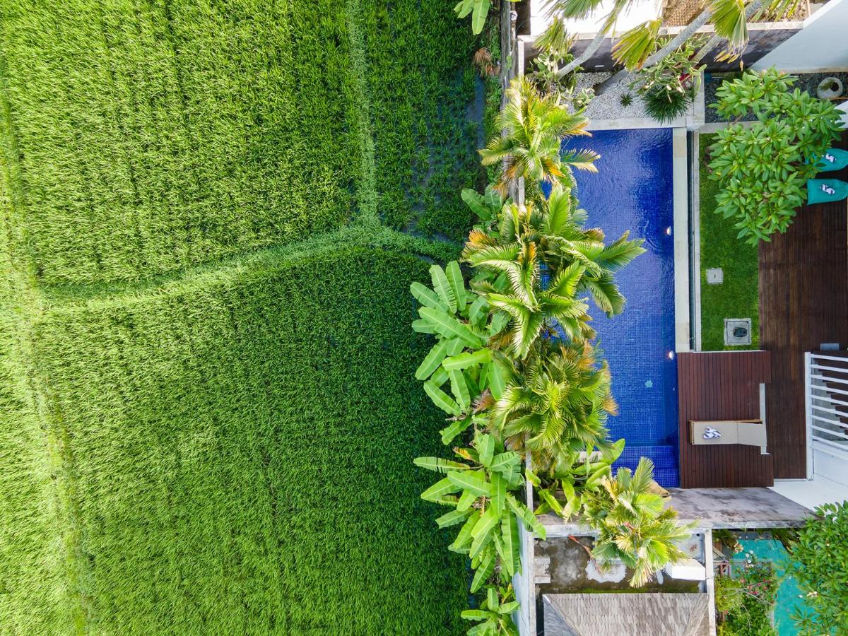 Villa Abigail Seminyak by Nagisa Bali - 3