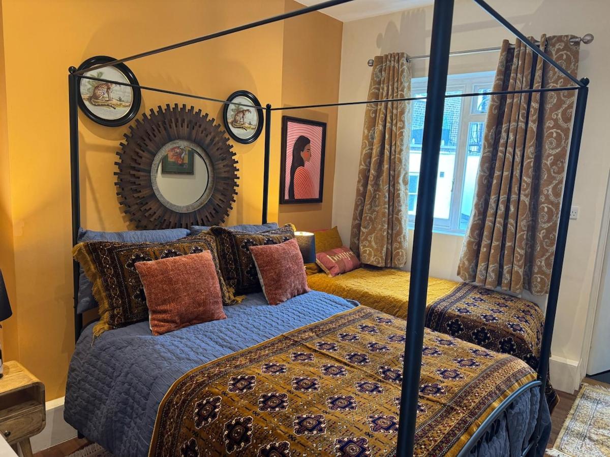 Todo Loco Pet Friendly - 2