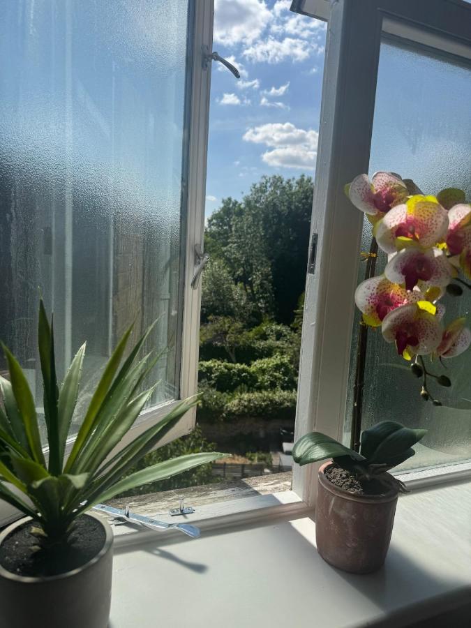 Todo Loco Pet Friendly - 5