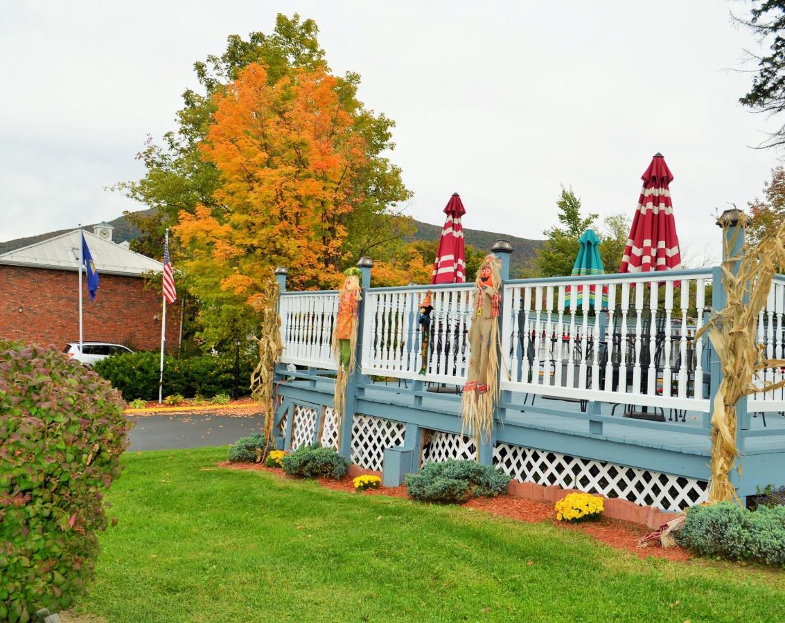 Williamstown Motel — photo 12