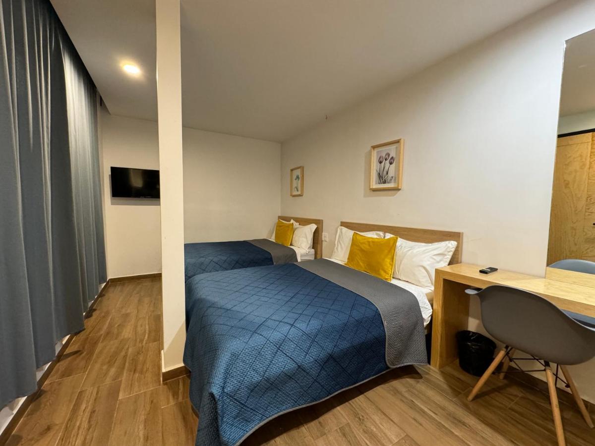 Aloja Rentals Mexico - 5