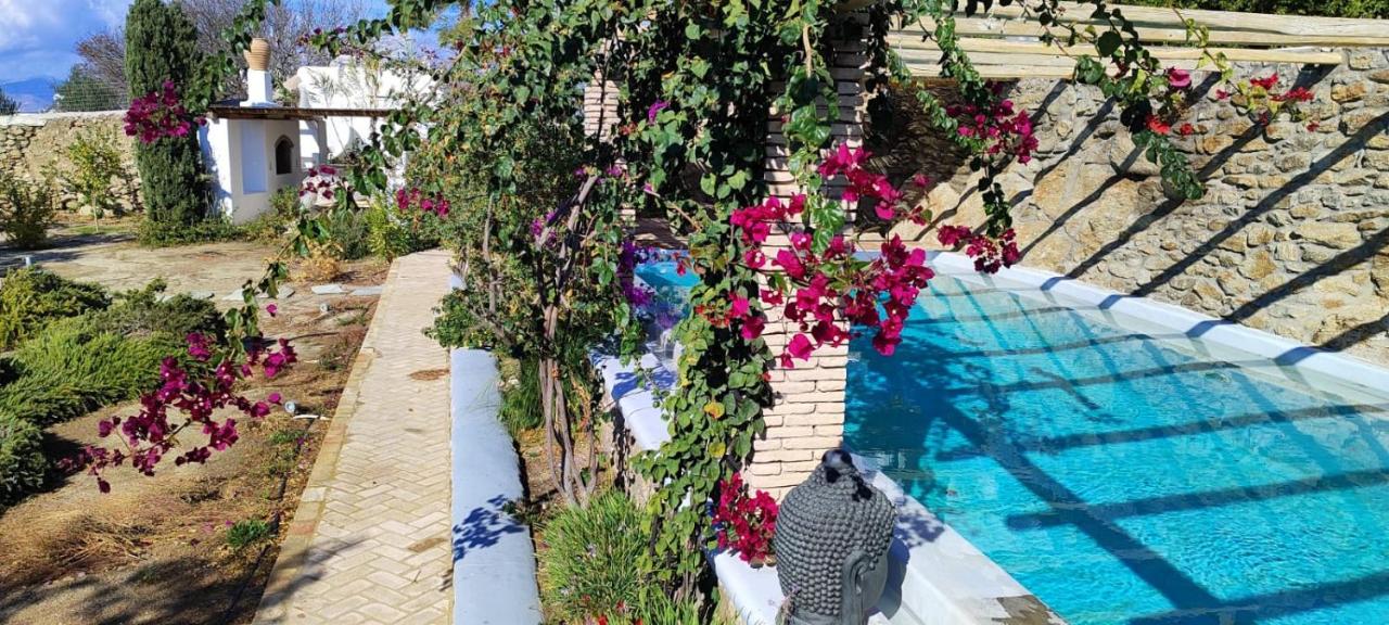 Villa Oasis A magical Garden in Mykonos Town - 4