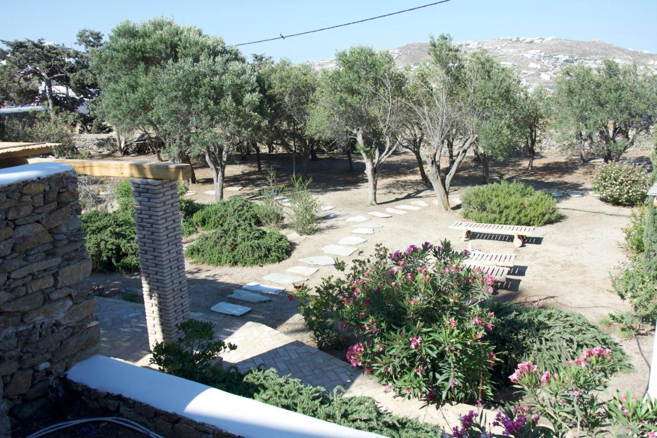 Villa Oasis A magical Garden in Mykonos Town - 5