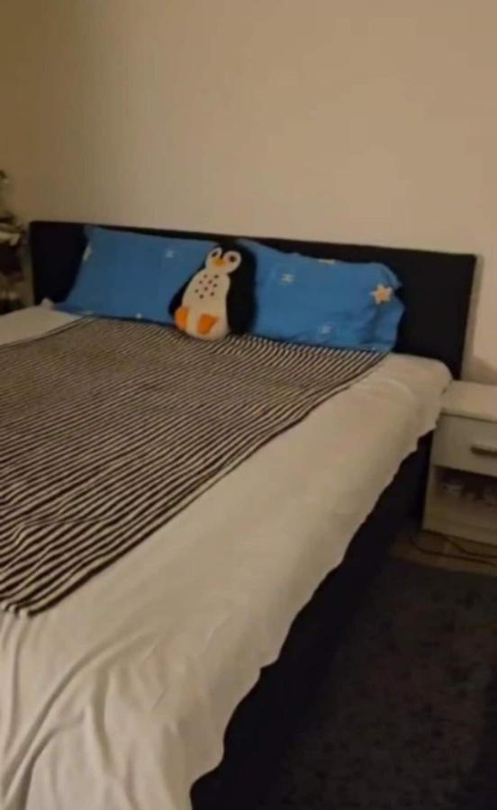 Cozy Apartment 15 min to Center and Airport - 5