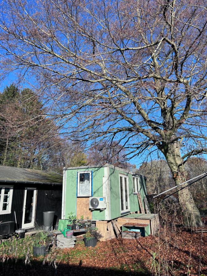 Tiny house close to Copenhagen - 3