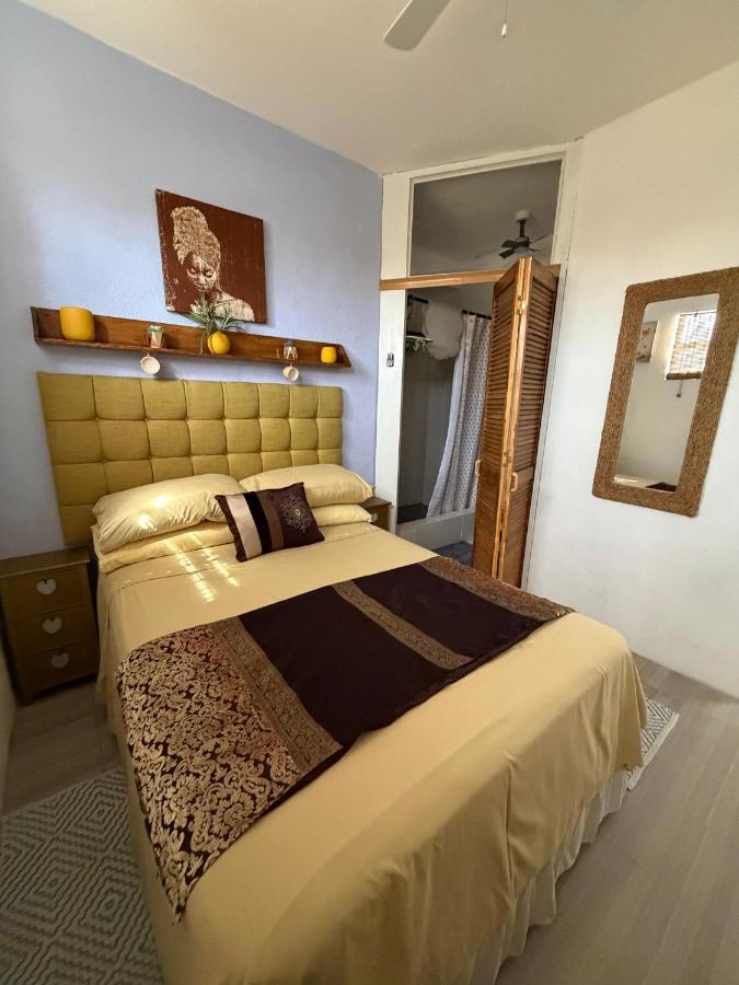 Coral Sea View Vacation Rental - 3