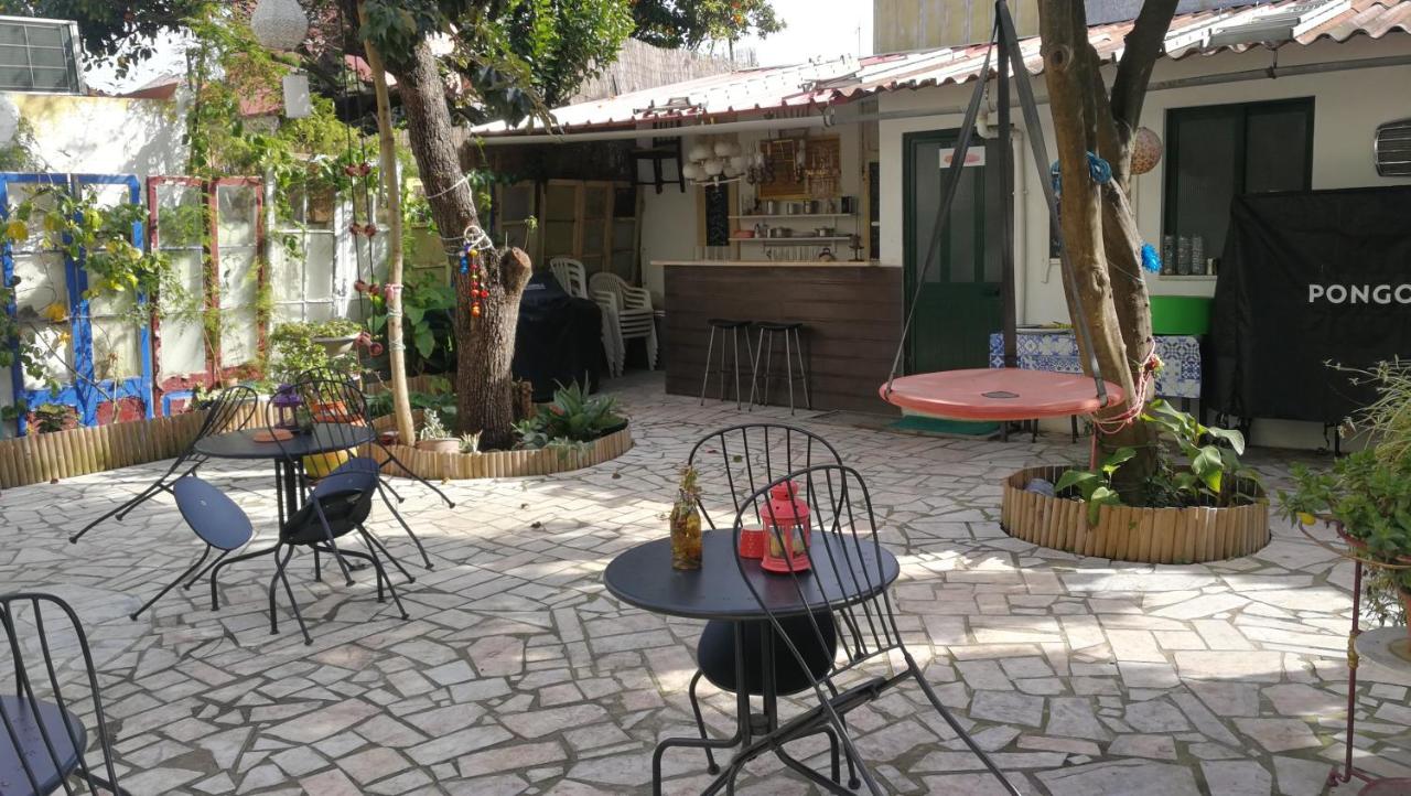 LxRoller Quionga Gardens - 5