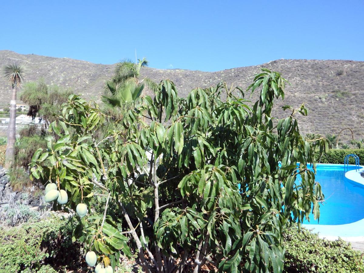 Finca Los Llanitos I, Puerto de Santiago – Bijgewerkte ...