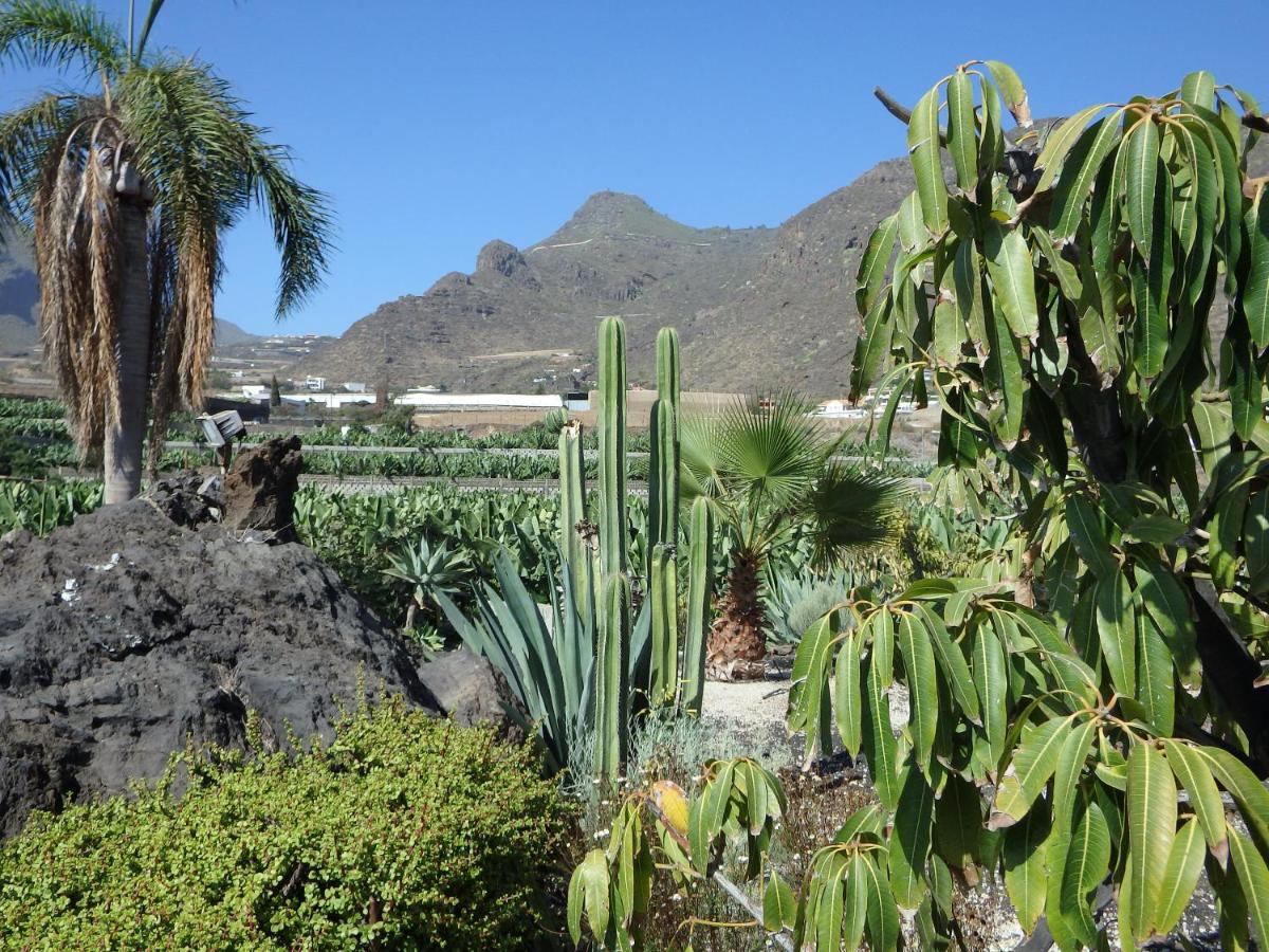 Finca Los Llanitos I, Puerto de Santiago – Bijgewerkte ...