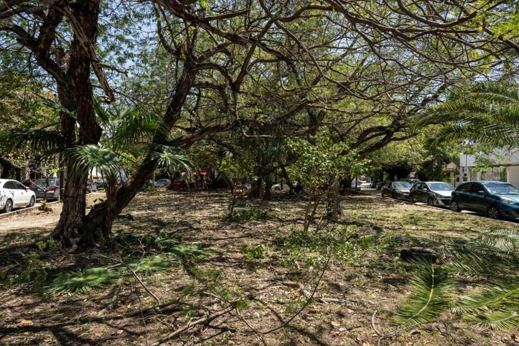 Casa Jurel Apartment Ideal Location in Cancun 2 Bedrooms Free WiFi and Kitchen - 5