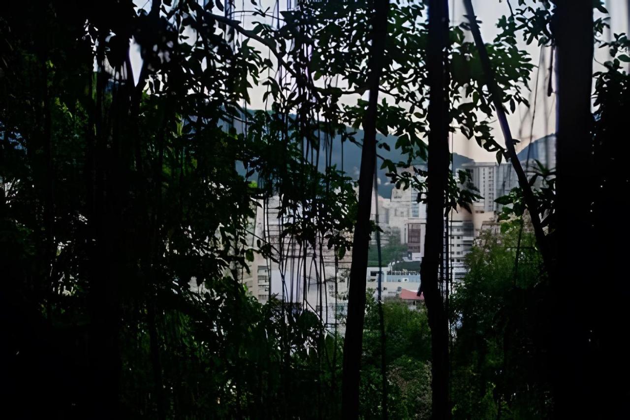 Quiet Old House with Garden in Botafogo - 2