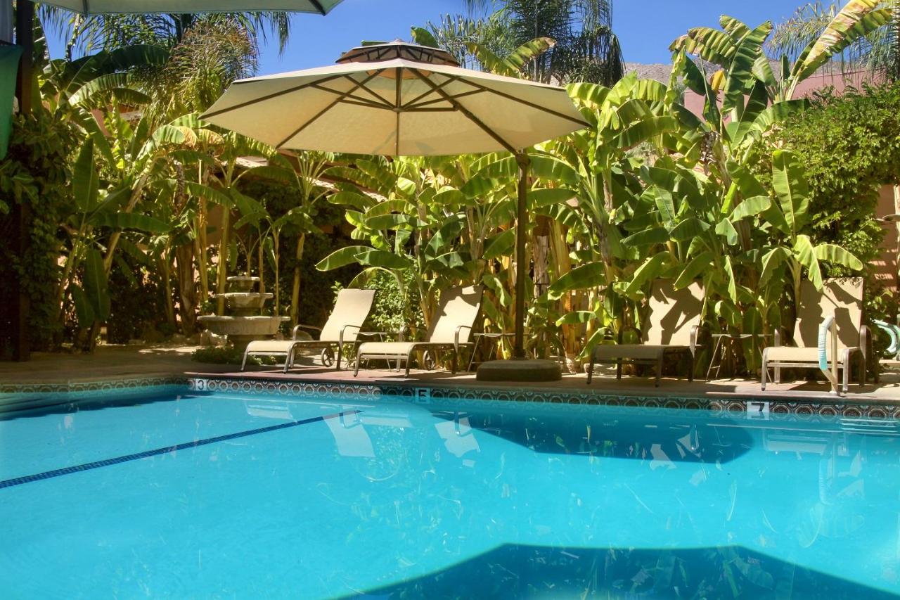 Heated swimming pool: Hotel California