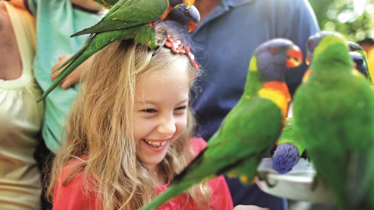 BIG4 Gold Coast Holiday Park photo