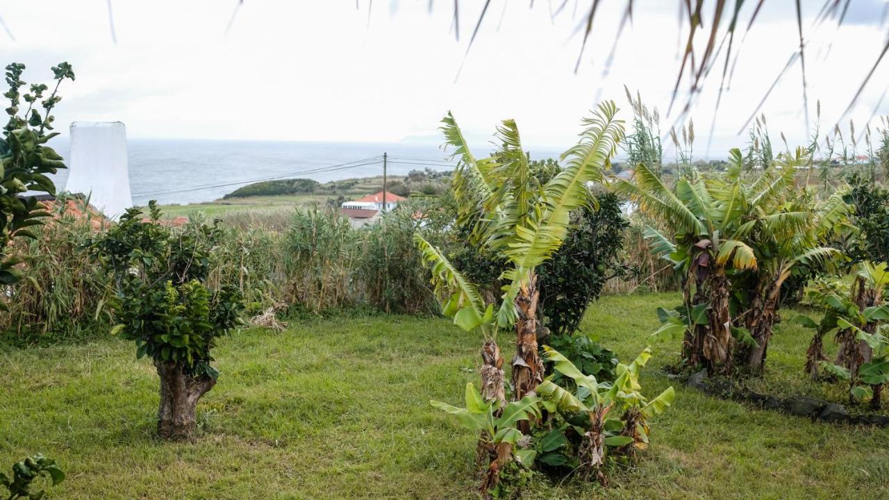 Casa Gaia Holiday Cottage - 4