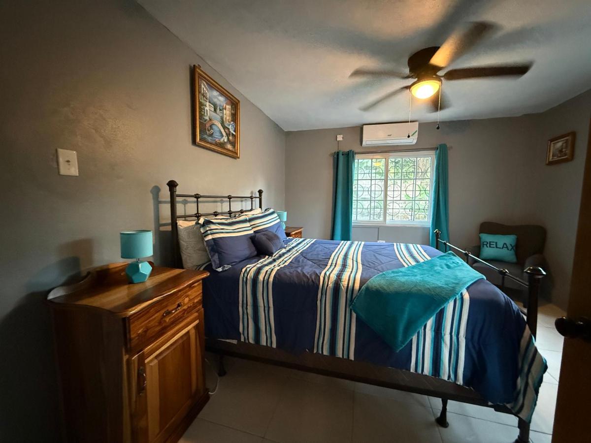 Portland Jamaica! Green and Lush! Volcano and Falls Yes! - 5