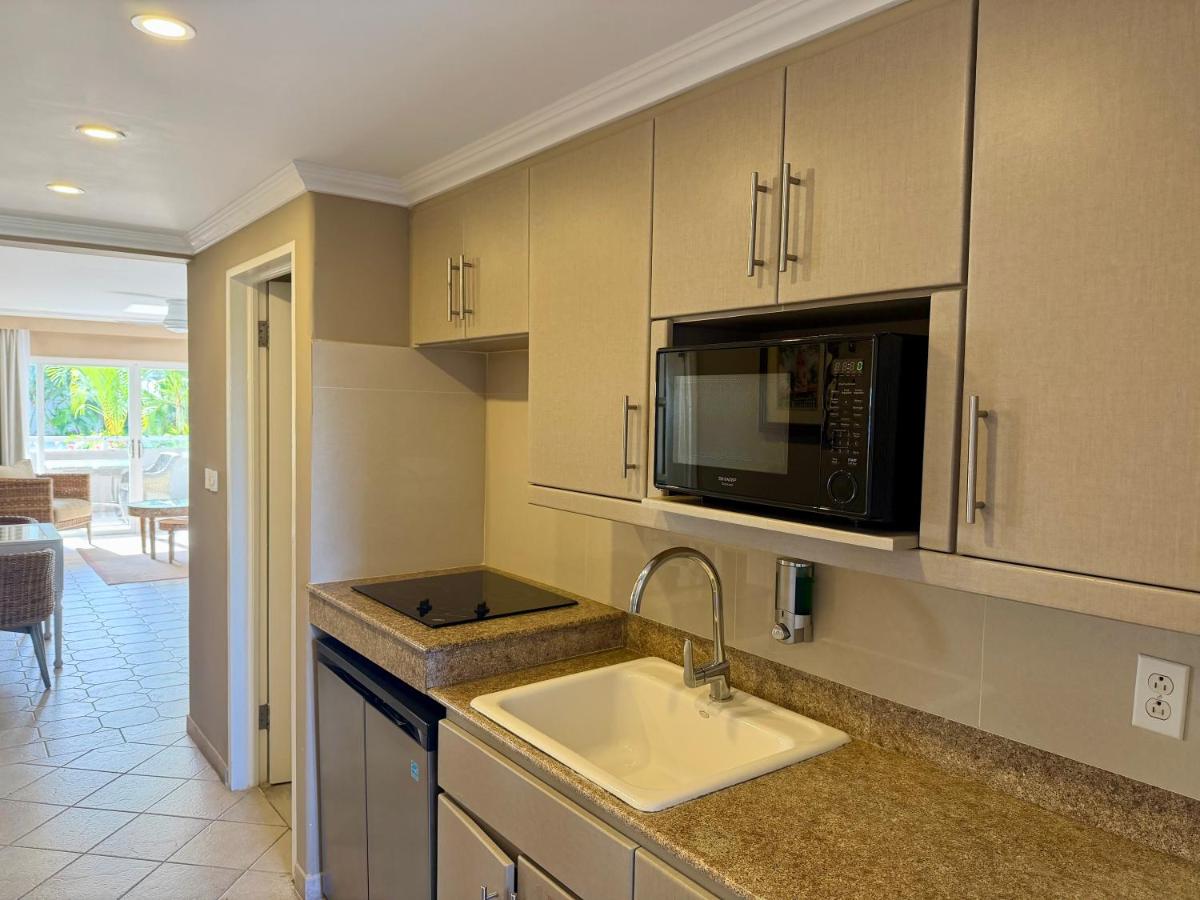 Bougainvillea Barbados - 2