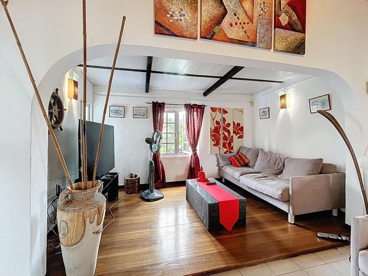 Les volets bleus - Hibiscus - 3