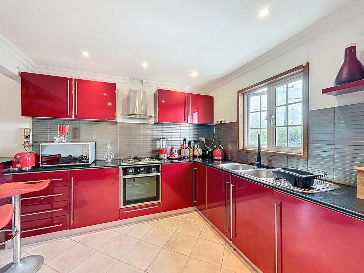 Les volets bleus - Hibiscus - 5