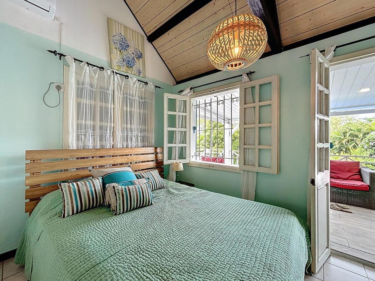 Les volets bleus - Hibiscus - 2