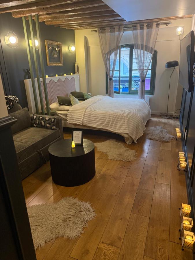 Appartement face a l'Opera Comique - 5