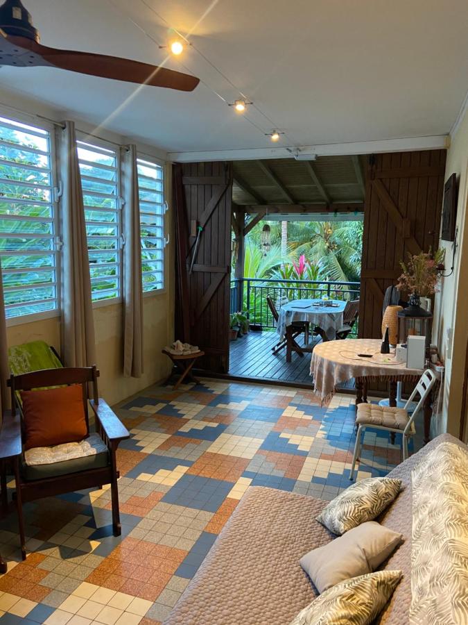 Maison Simon Lamentin jardin tropical - 5