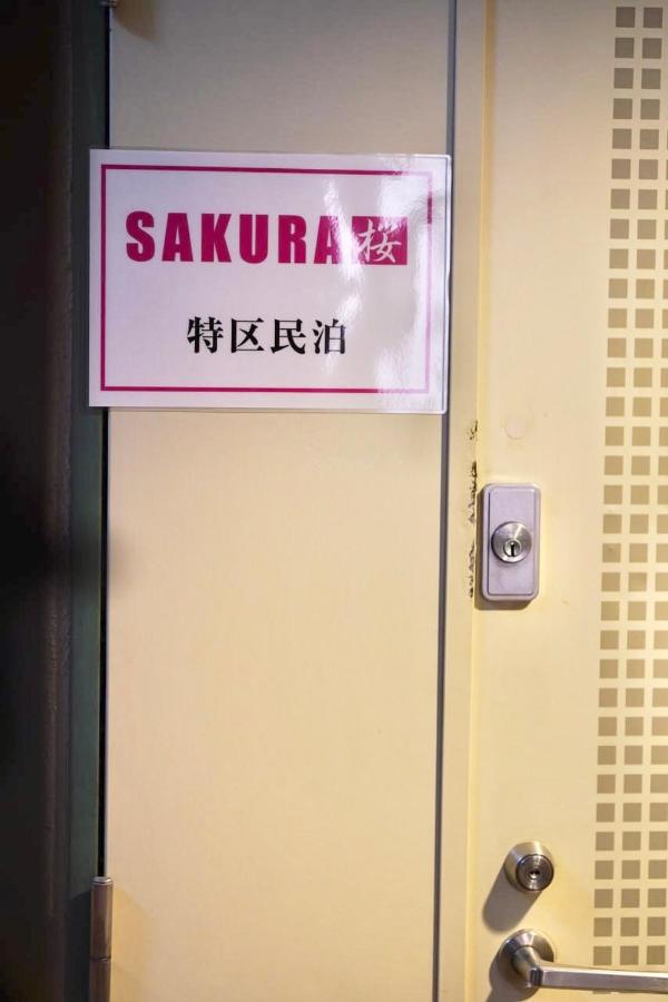 sAKURA - 5