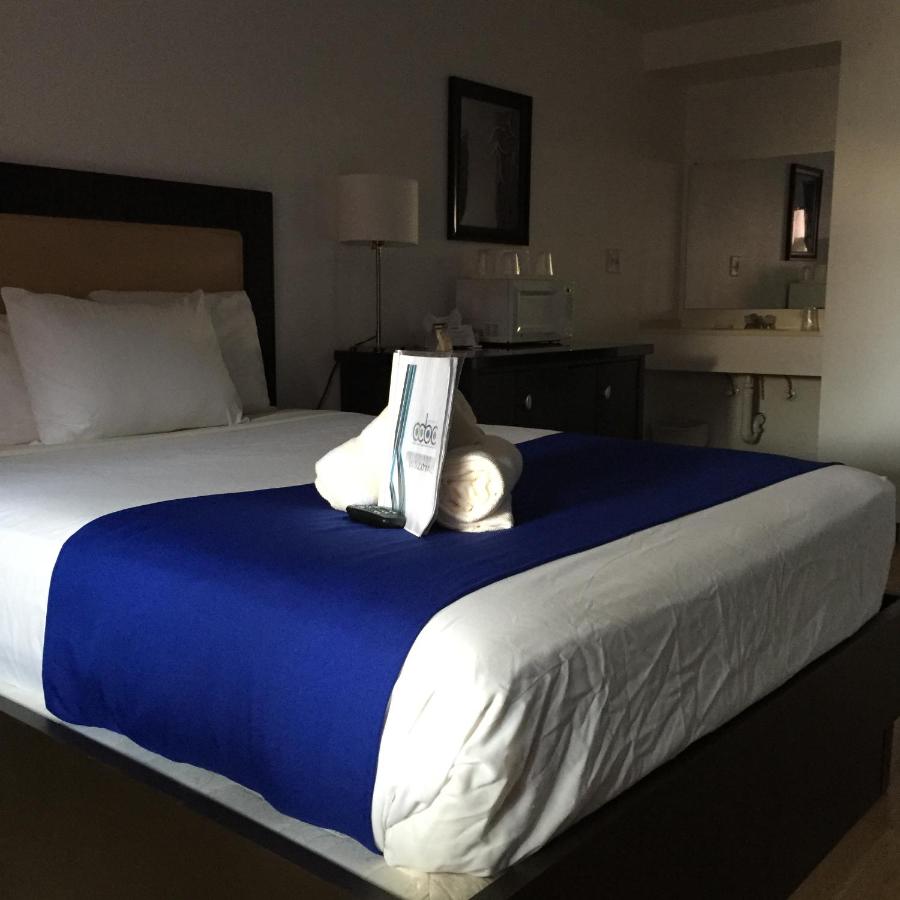 CCBC Resort Hotel - A Gay Men's Resort — photo 23