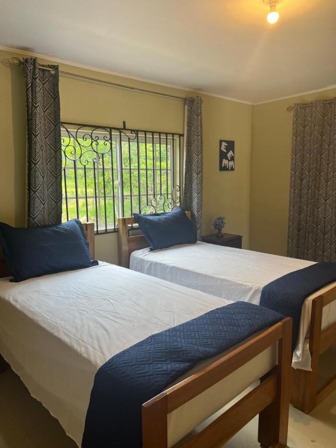 Oasis in Serene Manchester - 2