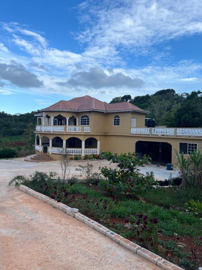 Oasis in Serene Manchester - 4