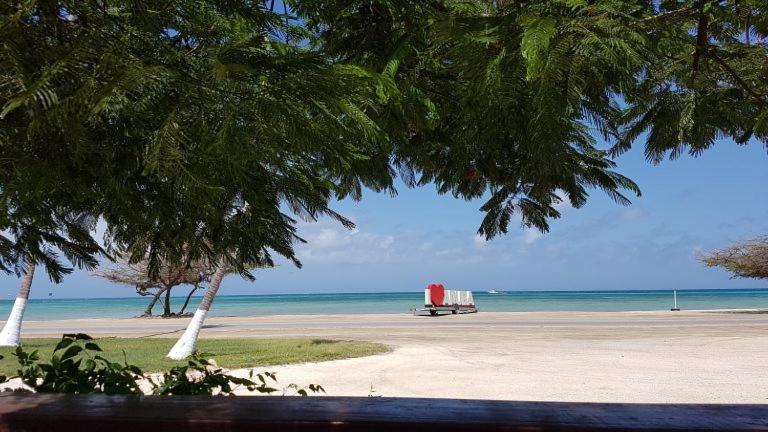 Hotel, plaża: Aruba Beach Villas