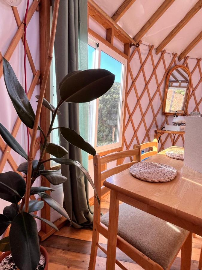 Cosy Nature Yurt Retreat in the Algarve Countryside - 3