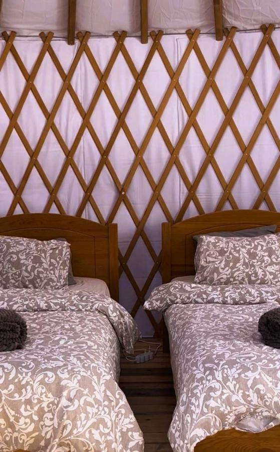 Cosy Nature Yurt Retreat in the Algarve Countryside - 4