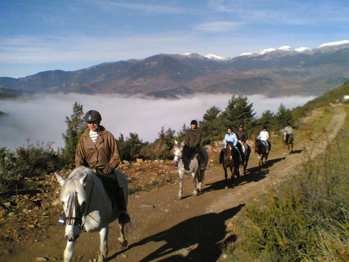 Els Torrents, Bellver de Cerdanya – Preus actualitzats 2022