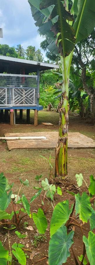 Tears Of The Sun Homestay BnB Karoko Village Tunuloa - 2