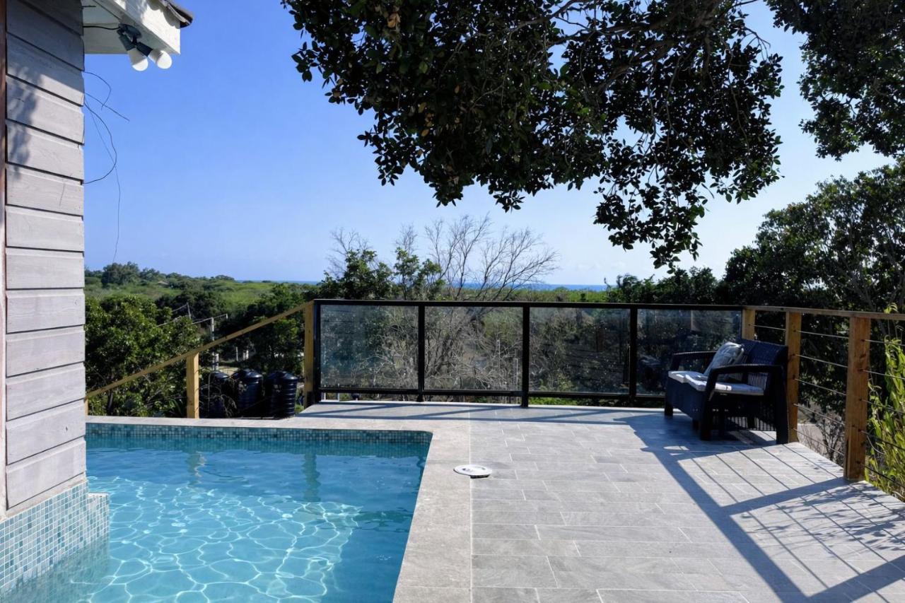 Coastline View Villa with Swim out Pool Treasure Beach - 3