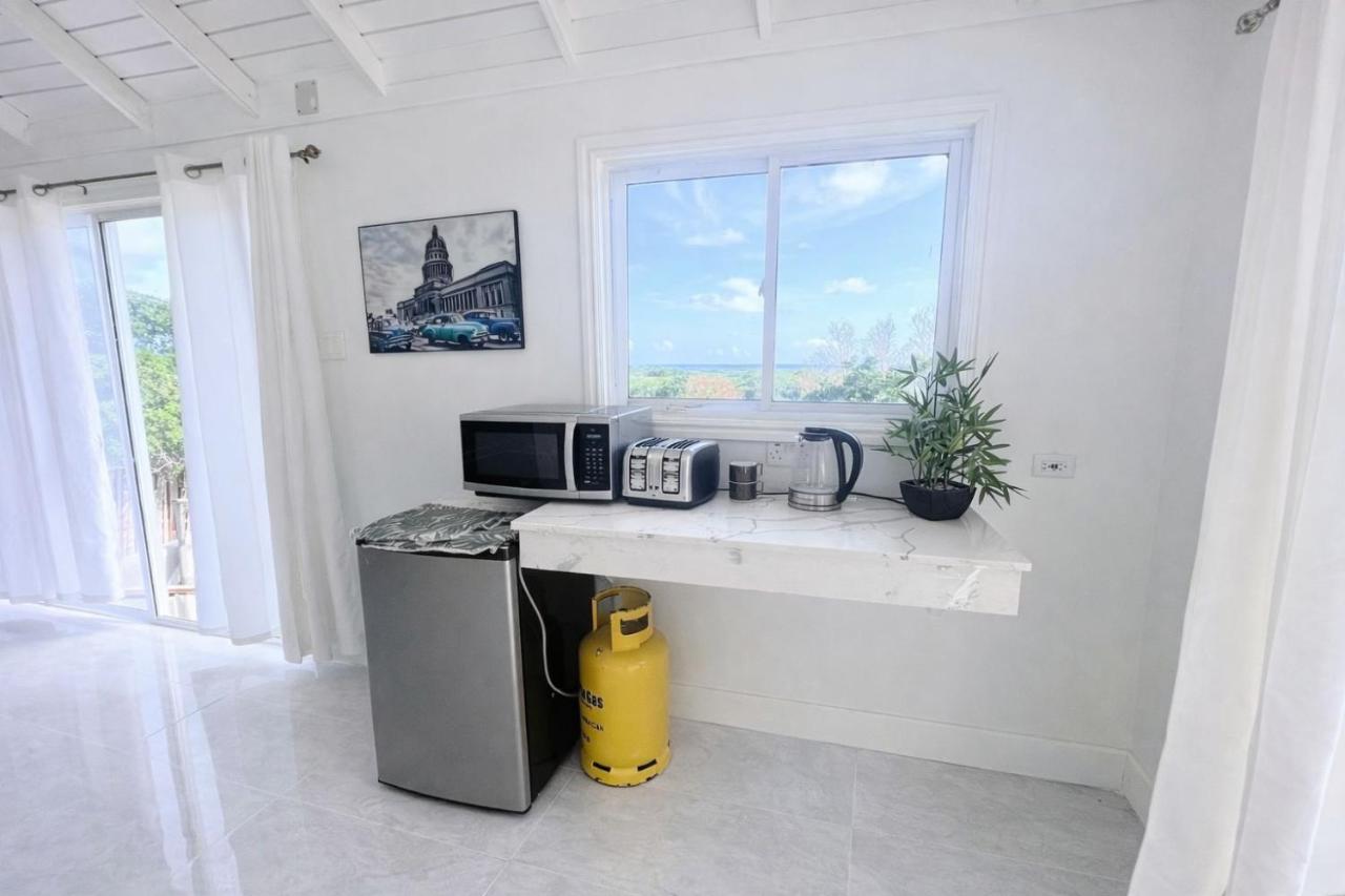 Coastline View Villa with Swim out Pool Treasure Beach - 5