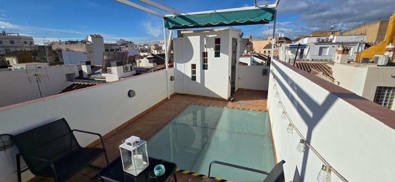 Oliva Apartments Molinillo - 4