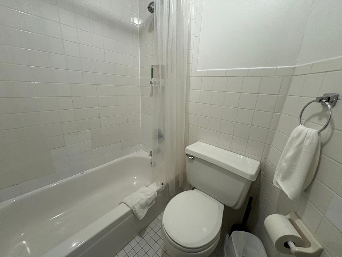 The W50 Metropolitan - 5