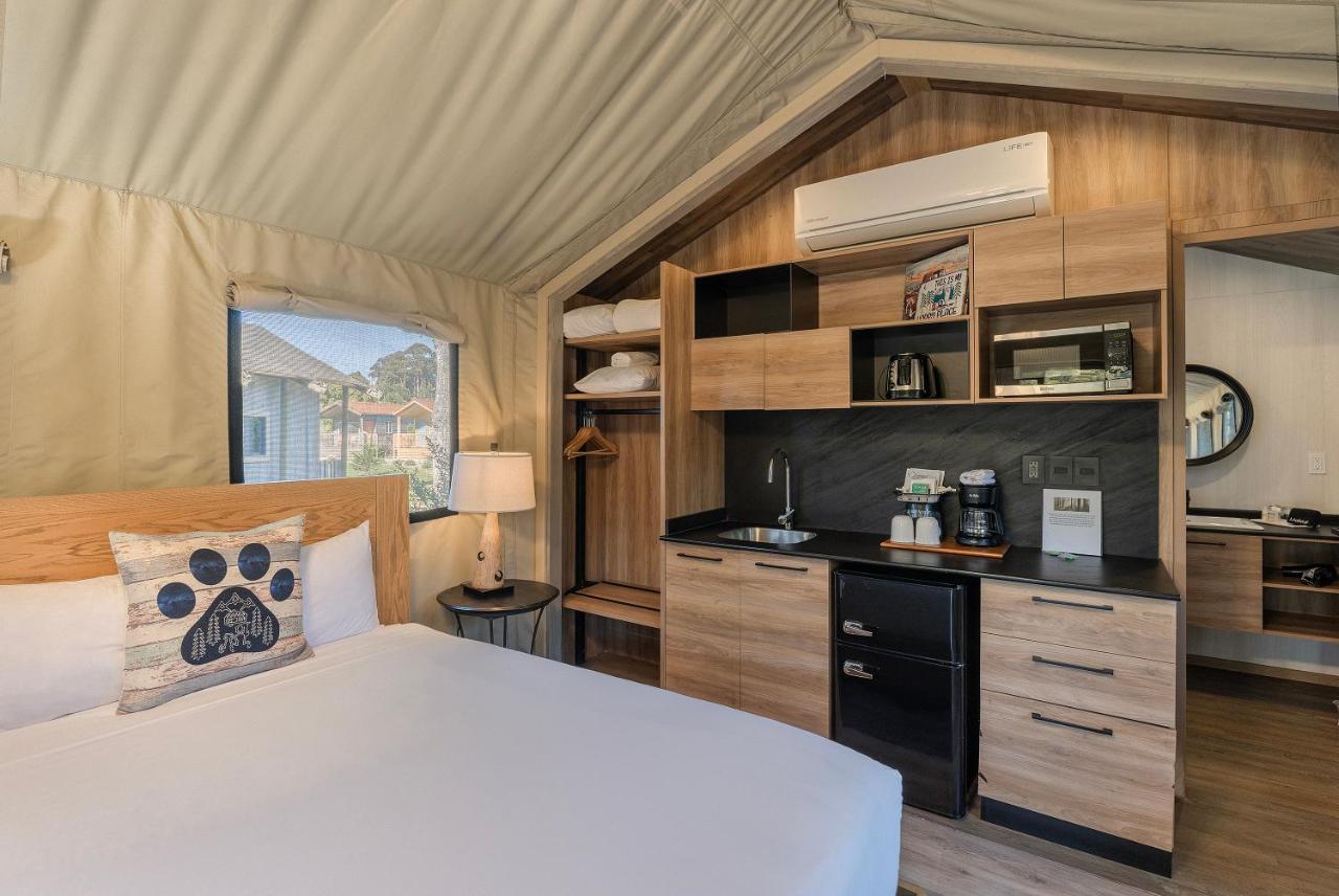 Carmel River Inn & Cottages — photo 4