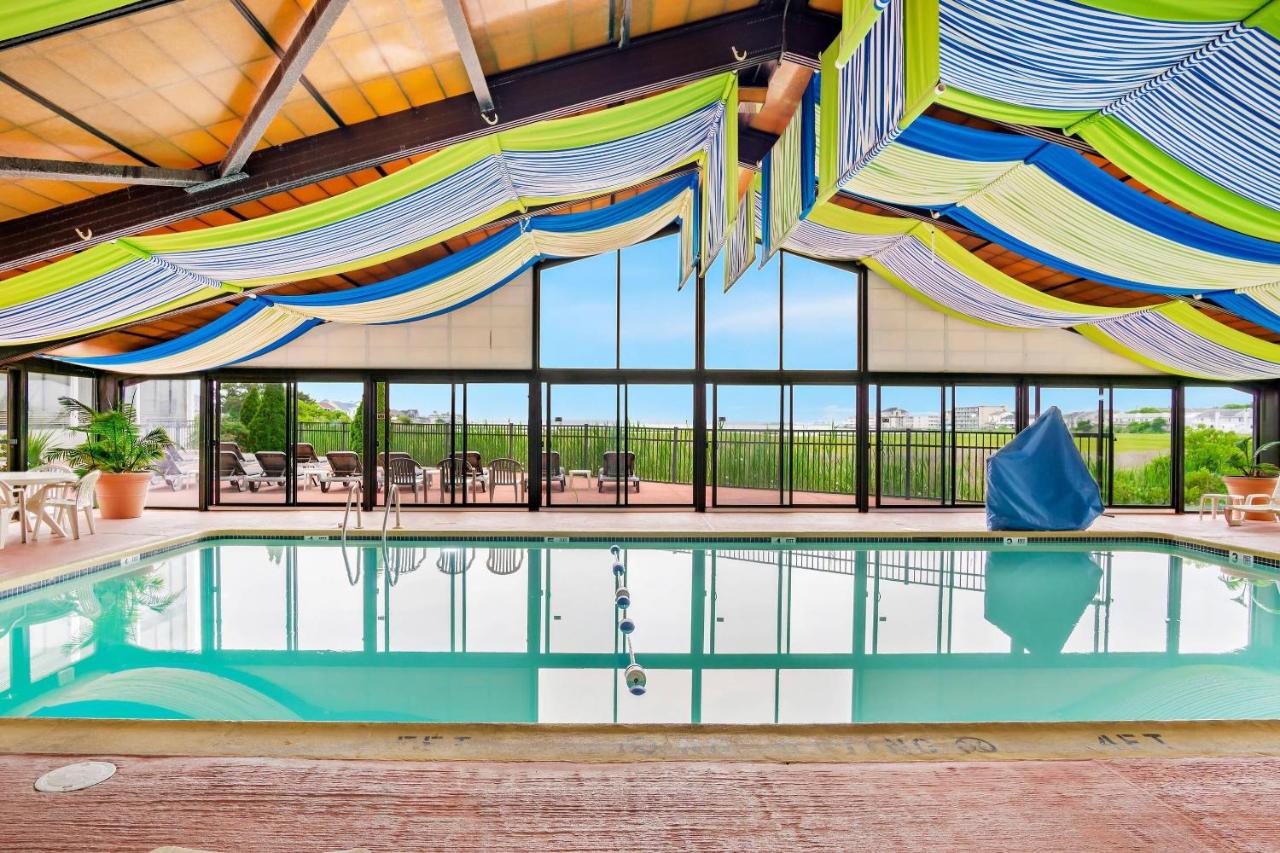 Image: Comfort Inn Gold Coast