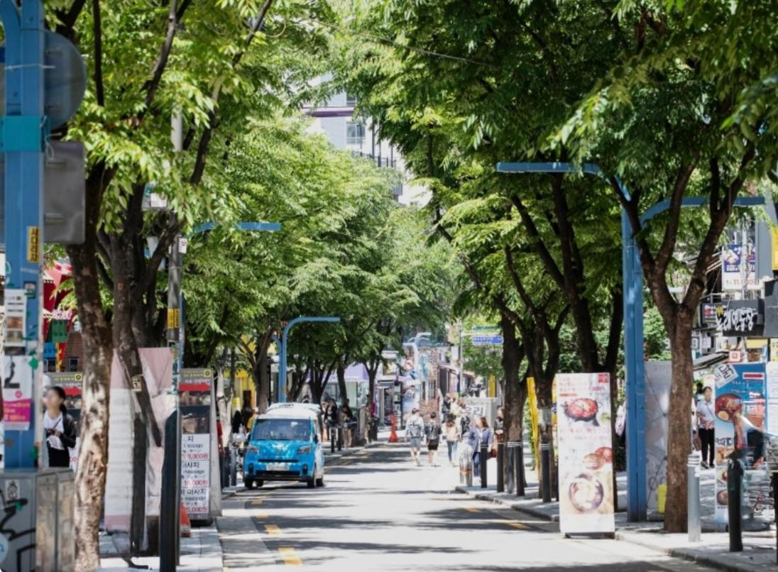 Lotus House - Foreign Tourists Only - 5