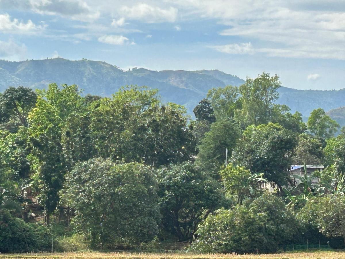 Scarlett Near Cane River Falls - 3